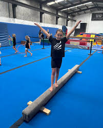 Image result for Aero Gymnastics Club