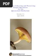 Attēlu rezultāti vaicājumam “Diderma subincarnatum”