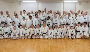 Image result for Ynys Mon Shukokai Karate Club, North Wales