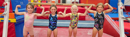 Image result for Dynamo Trampoline Academy