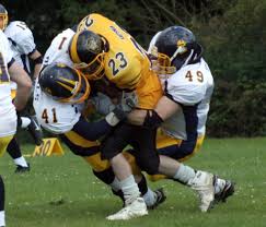 Image result for Chiltern Cheetahs American Football Club