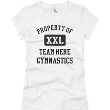 Image result for Custom Gymnastics Club