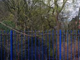 Image result for Chadderton Cricket & Bowling Club