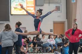 Image result for Angmering Gymnastics