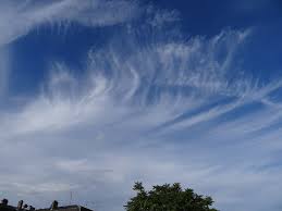 Attēlu rezultāti vaicājumam “Cirrus fibratus”