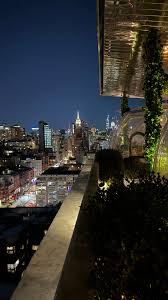 Attēlu rezultāti vaicājumam “Populus x lettland”