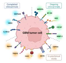Image result for Cambridge N C I Cc