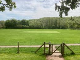 Image result for Ivybridge Cricket Club