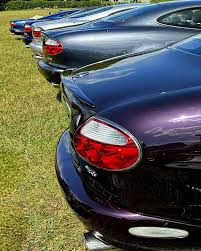 Image result for Amananth Purple 1998 Jaguar