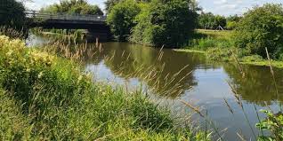 Image result for Warlingham & District Anglers Society