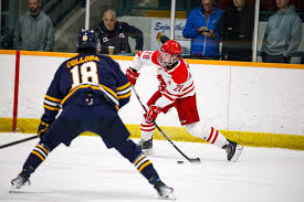 Image result for York University Street Hockey Club