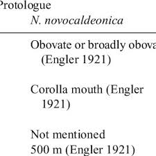 Attēlu rezultāti vaicājumam “Diachea subsessilis”