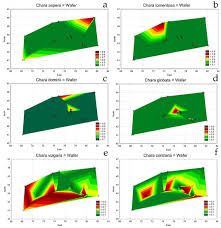 Attēlu rezultāti vaicājumam “Chara aspera male”