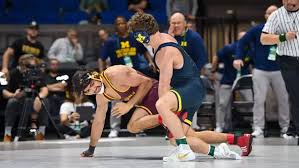 Image result for Fishersgate Olympic Wrestling Club