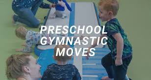 Image result for Little Tricks Gymnastics - Pre-School and Play Gym