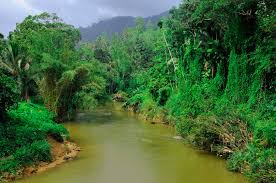 Image result for синхараджа