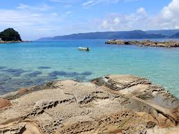 Image result for Bushiki Kwai