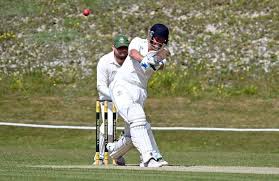 Image result for Bere Regis Cricket Club