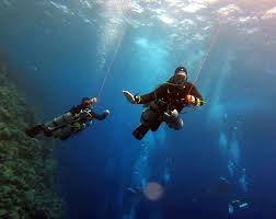 Image result for Maidstone Sub Aqua Club