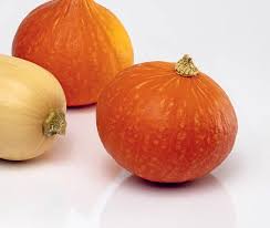 Image result for Kürbis