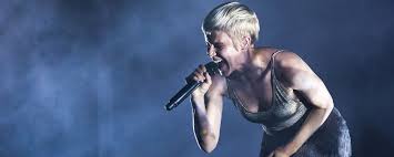 Image result for robyn