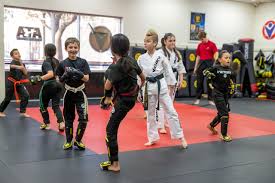 Image result for Championship Martial Arts Winter Springs