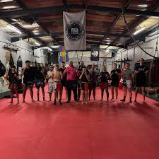 Image result for Midlands PKA Kickboxing