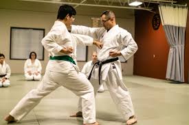 Image result for Get Into Martial Arts