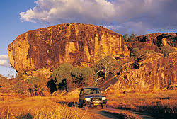 Billedresultat for kakadu n...