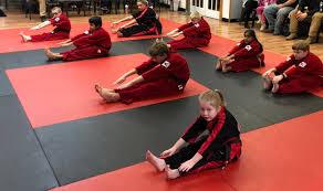 Image result for Crown Tae Kwon Do