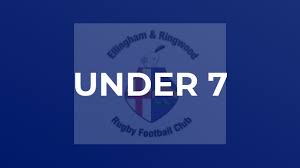 Image result for Ellingham and Ringwood Rfc