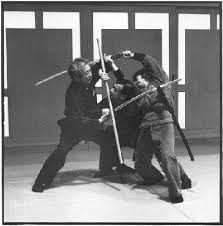 Image result for Bujinkan Truro Dojo