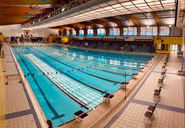 Image result for Loftus Dolphins Swimming Club
