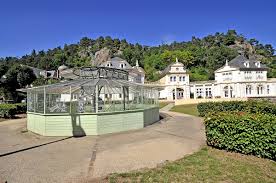 Image result for saint nectaire