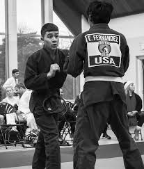 Image result for Sokudo Martial Arts Club