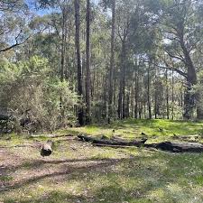 Image result for Strathbogie Rambling Club
