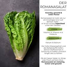 Image result for Römischer Salat