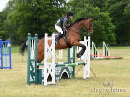 Image result for Chobham and District Riding Club