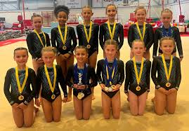 Image result for Redcar Gymnastics Club