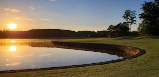 Image result for Romanby Golf Course