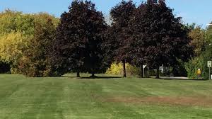 Image result for Thornbury Pickleball Club