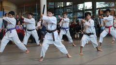Image result for Thatcham Wado Karate Club
