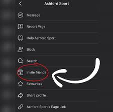 Image result for Ashford Tanners Handball Club