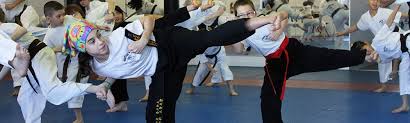 Image result for Hetton and Murton Karate Academy