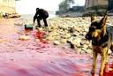 A Picture is Worth... Pollution in China : TreeHugger