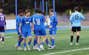 Image result for Christchurch United Fc