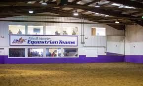 Image result for Annandale Equestrian Centre