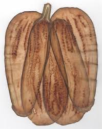 Image result for papirum