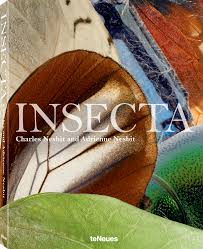 Attēlu rezultāti vaicājumam “Insecta”