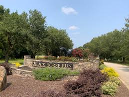 Image result for Black Horse Ballooning Club